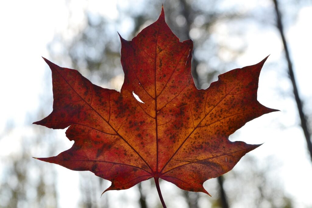 Eclesiastes 3 — "Tudo Tem o Seu Tempo": Texto Completo, Significado e Reflexão