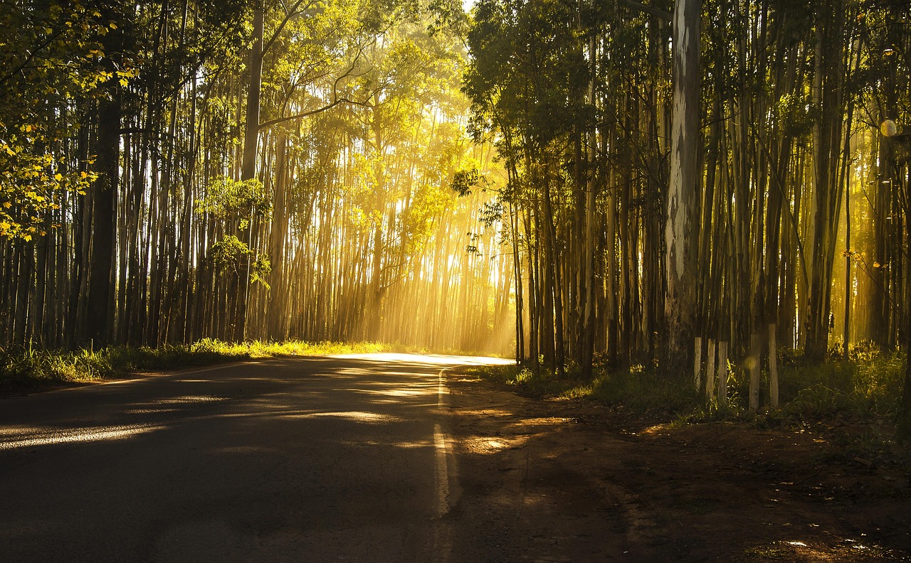 Paisagem desértica ao pôr do sol — terra prometida — Josué 1:9 — seja forte e corajoso — Mensagem do Papa