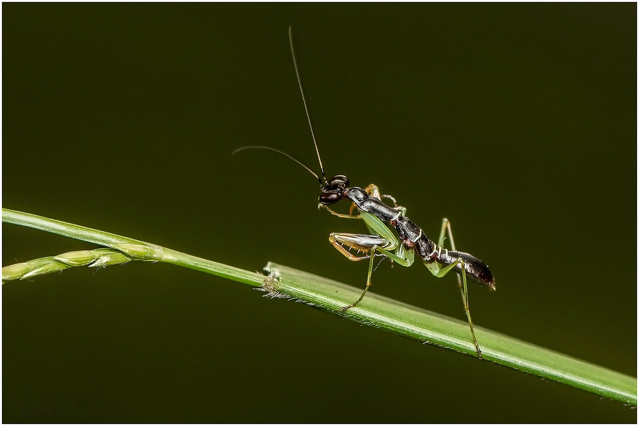 Oração pelos Filhos — Orações Poderosas para Proteger e Abençoar seus Filhos - imagem 2
