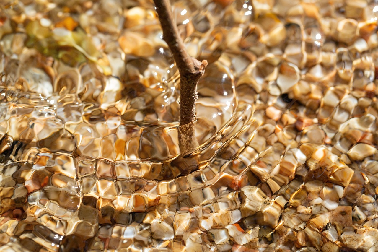 Salmo 1 — Texto Completo, Significado e Oração sobre o Homem Bem-Aventurado - imagem 4