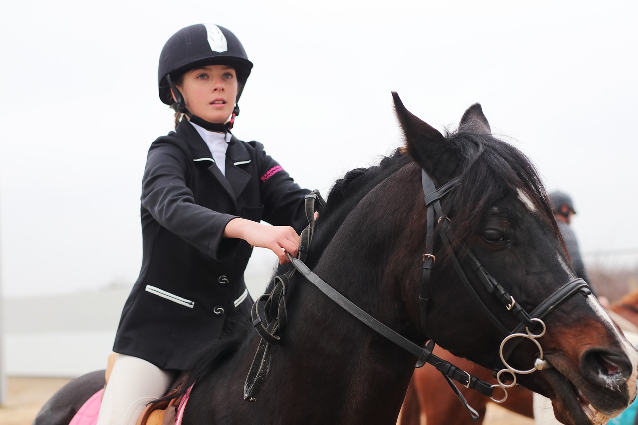 Salmo 28 — Texto Completo, Significado e Oração 