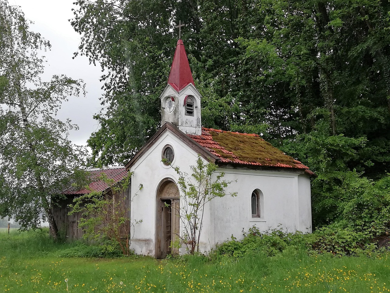 Salmo 37: Texto Completo, Significado e Oração para Confiar em Deus - imagem 4