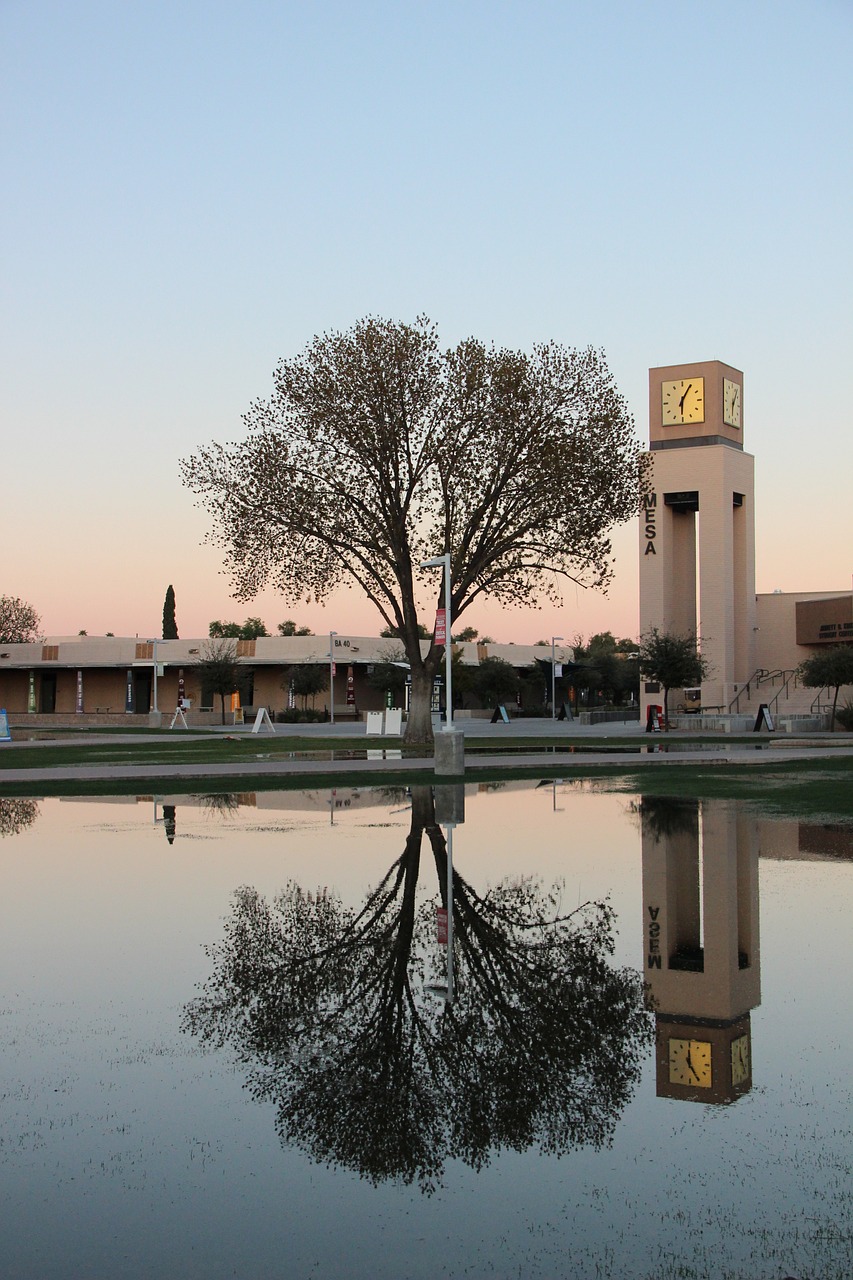 Salmo 44 — Texto Completo, Significado e Oração 