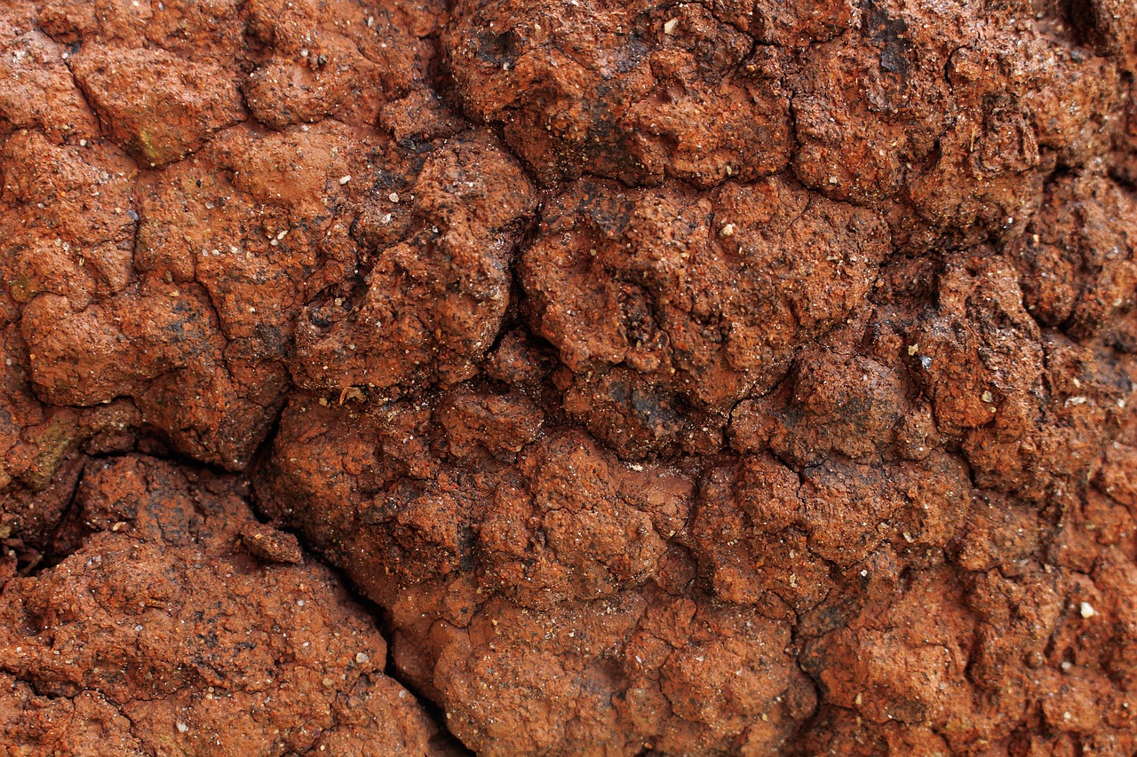 Salmo 67 — Texto Completo, Significado e Oração 