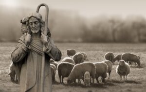 Salmo 91 — pastor com ovelhas simbolizando proteção de Deus — aquele que habita no esconderijo do Altíssimo — Mensagem do Papa