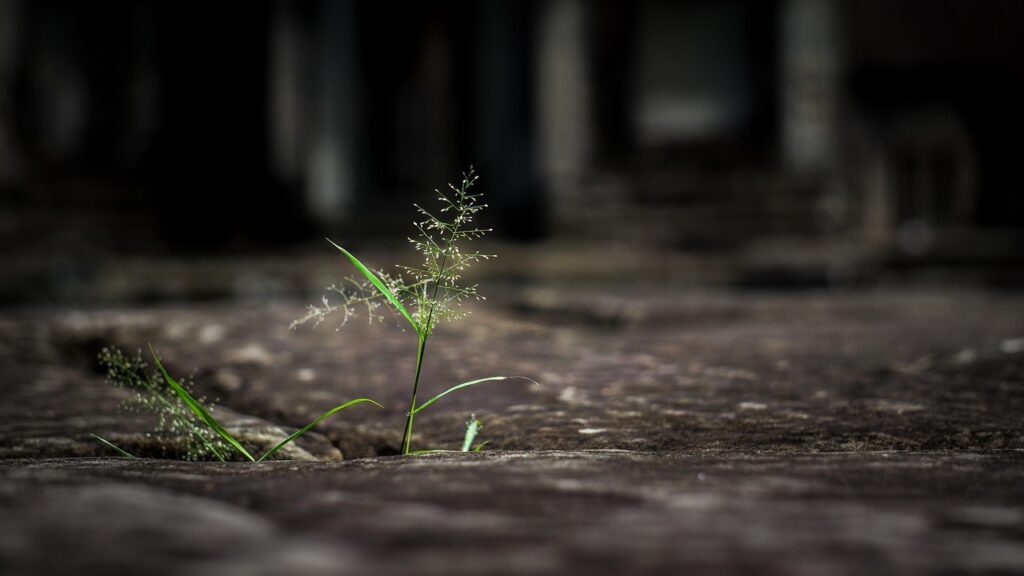 Seja forte e corajoso — rocha imponente na natureza simbolizando força e determinação com fé — Mensagem do Papa