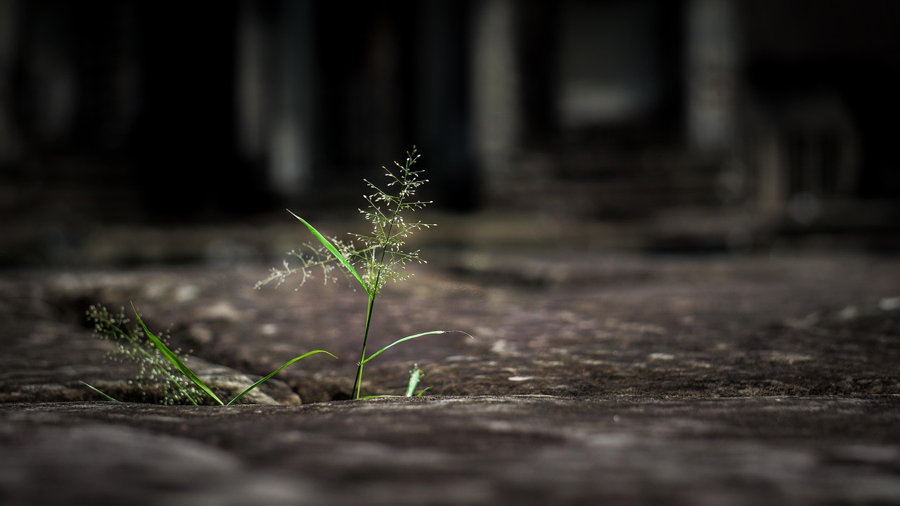 Seja forte e corajoso — rocha imponente na natureza simbolizando força e determinação com fé — Mensagem do Papa