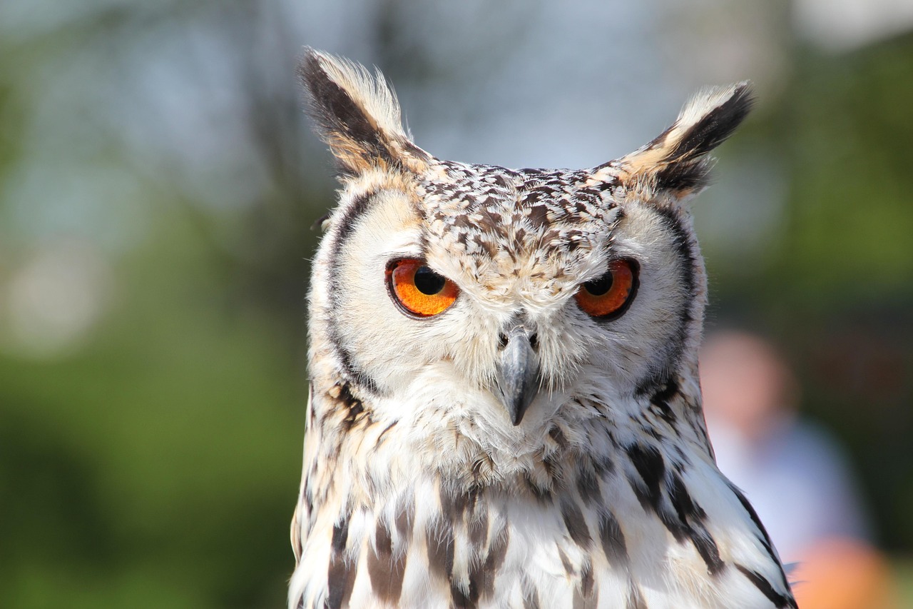 Versículos de Fé e Motivação — Os Mais Poderosos para Seguir em Frente - imagem 3