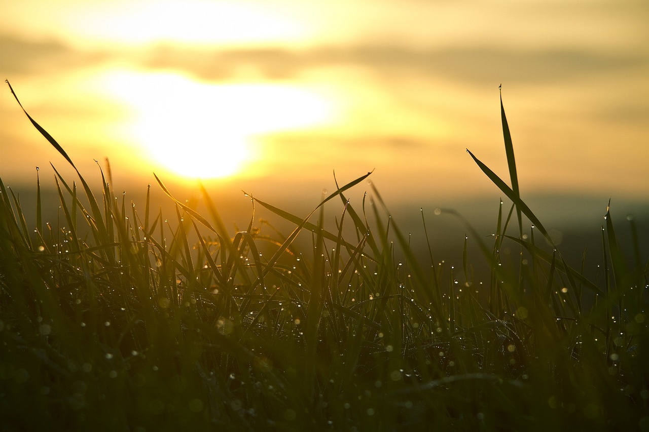 Nascer do sol sobre campo, símbolo de novo começo