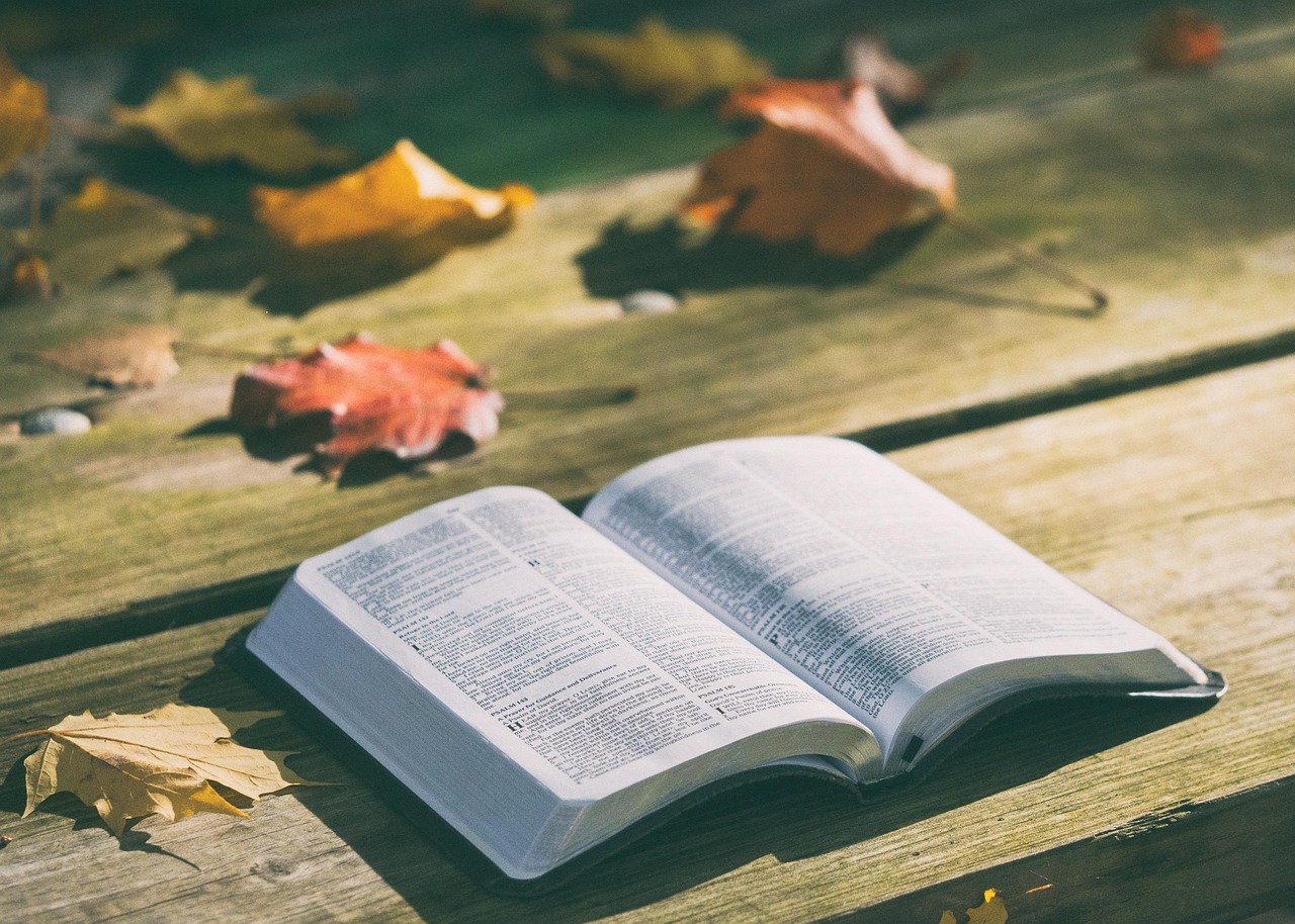 Bíblia aberta para leitura e estudo