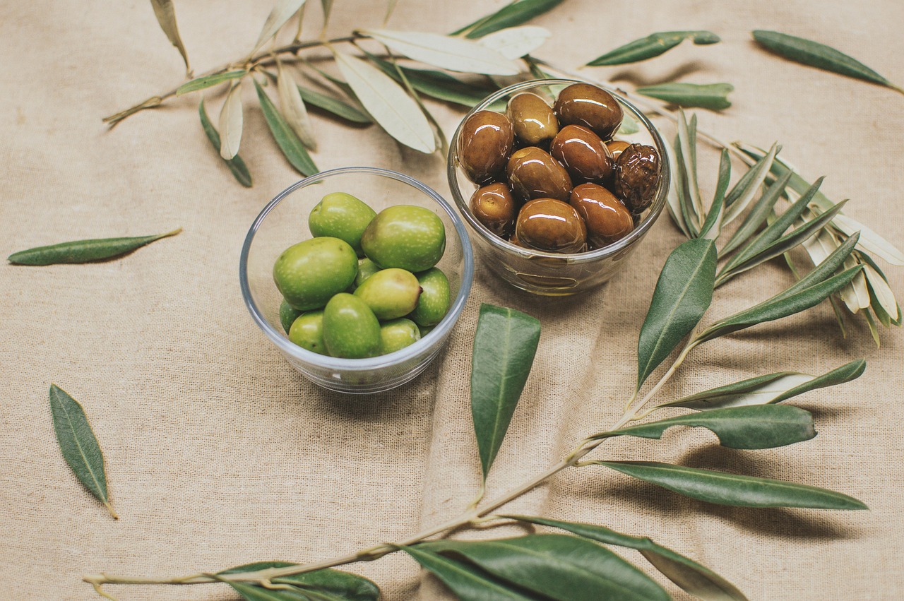 Oliveiras mediterrâneas, referência ao Jardim do Getsêmani