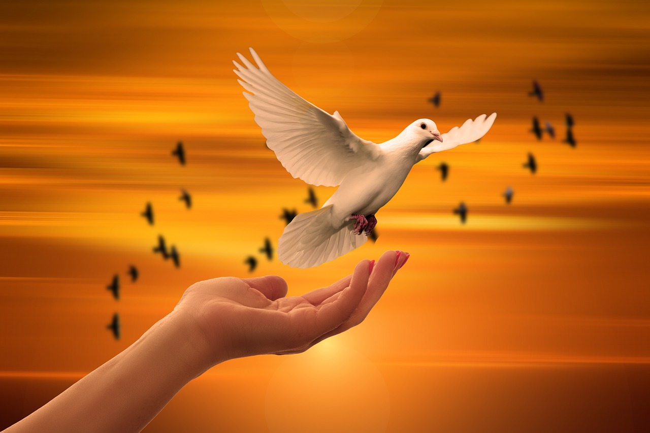 Pomba em voo, símbolo de paz e proteção espiritual associado aos anjos