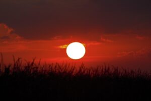 Caminho iluminado ao amanhecer, símbolo de fé e proteção na jornada
