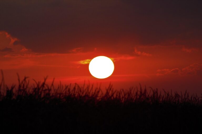 Caminho iluminado ao amanhecer, símbolo de fé e proteção na jornada
