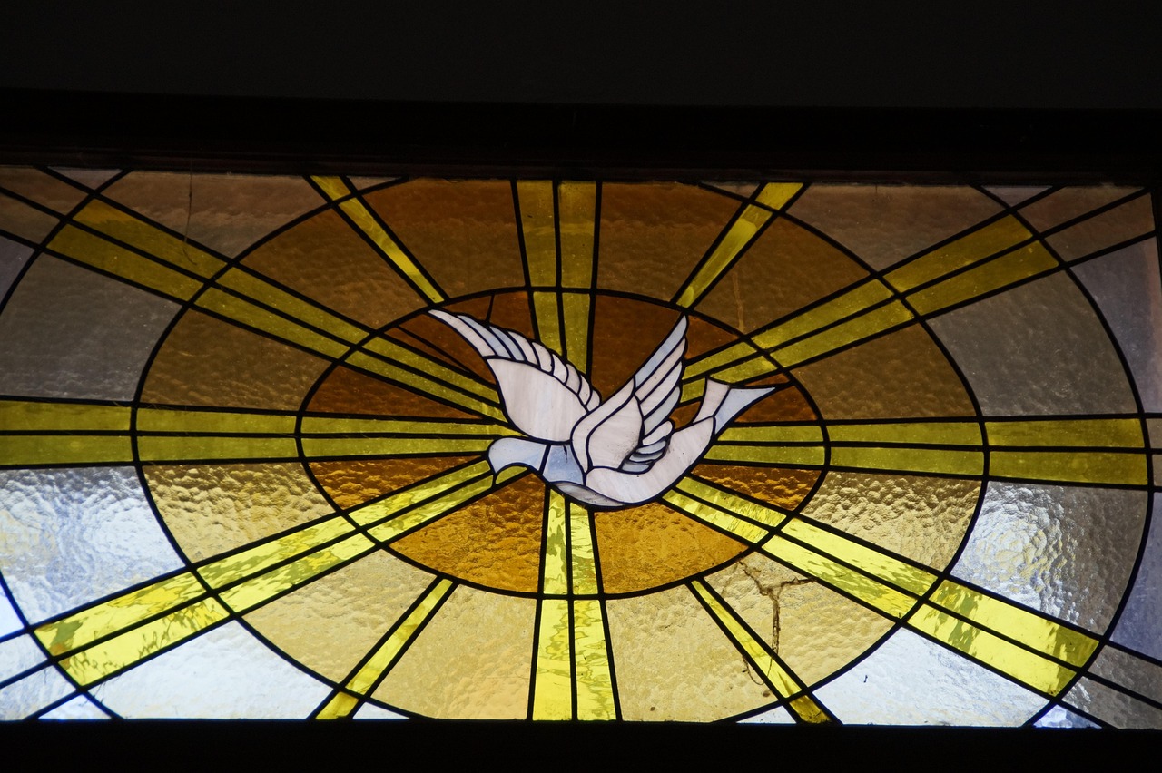 Pomba branca, símbolo do Espírito Santo em Pentecostes