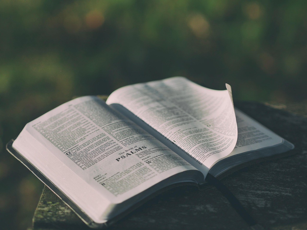 Bíblia aberta no livro dos Salmos, referência ao texto do Salmo 18